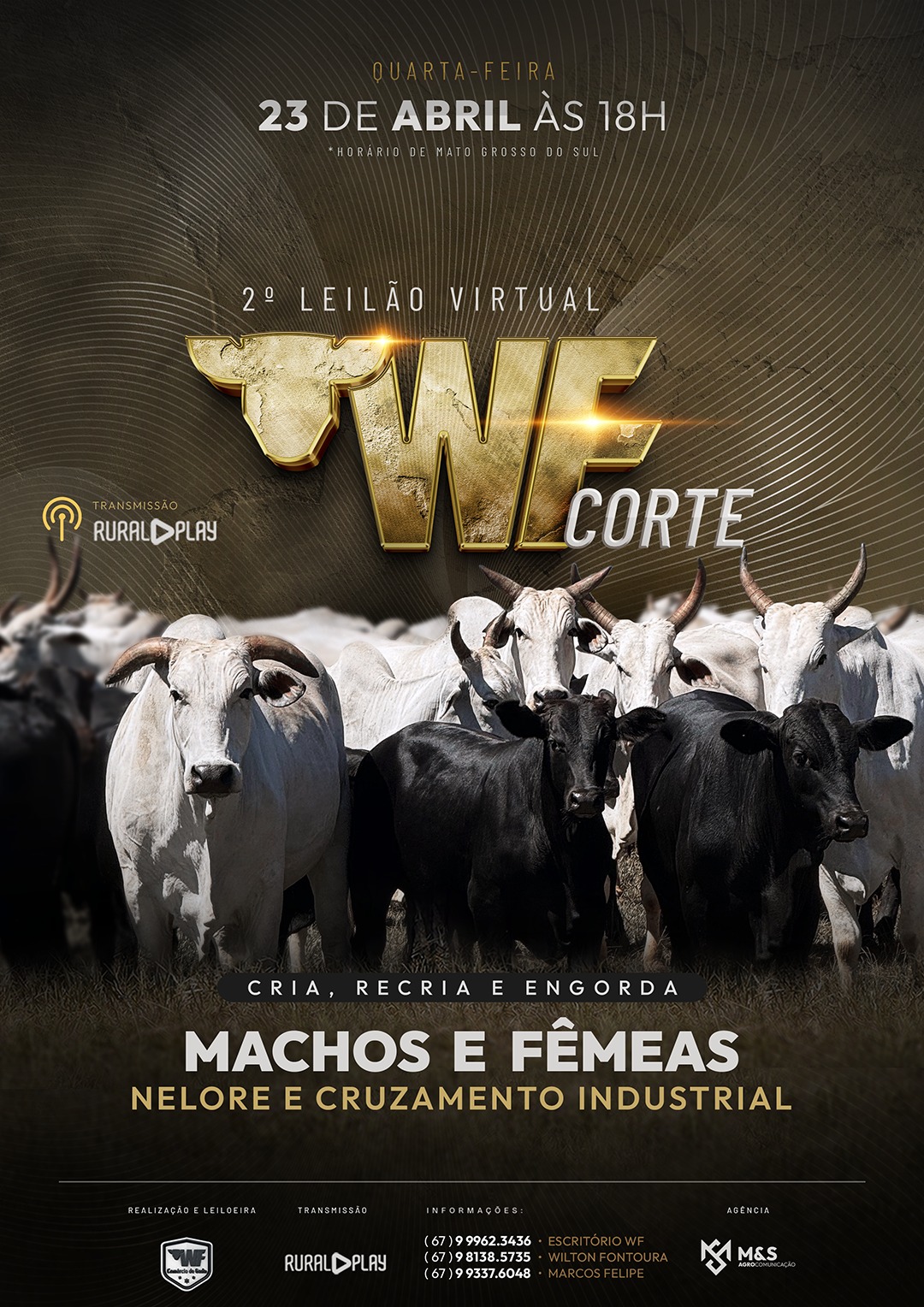 2º LEILÃO VIRTUAL WF CORTE