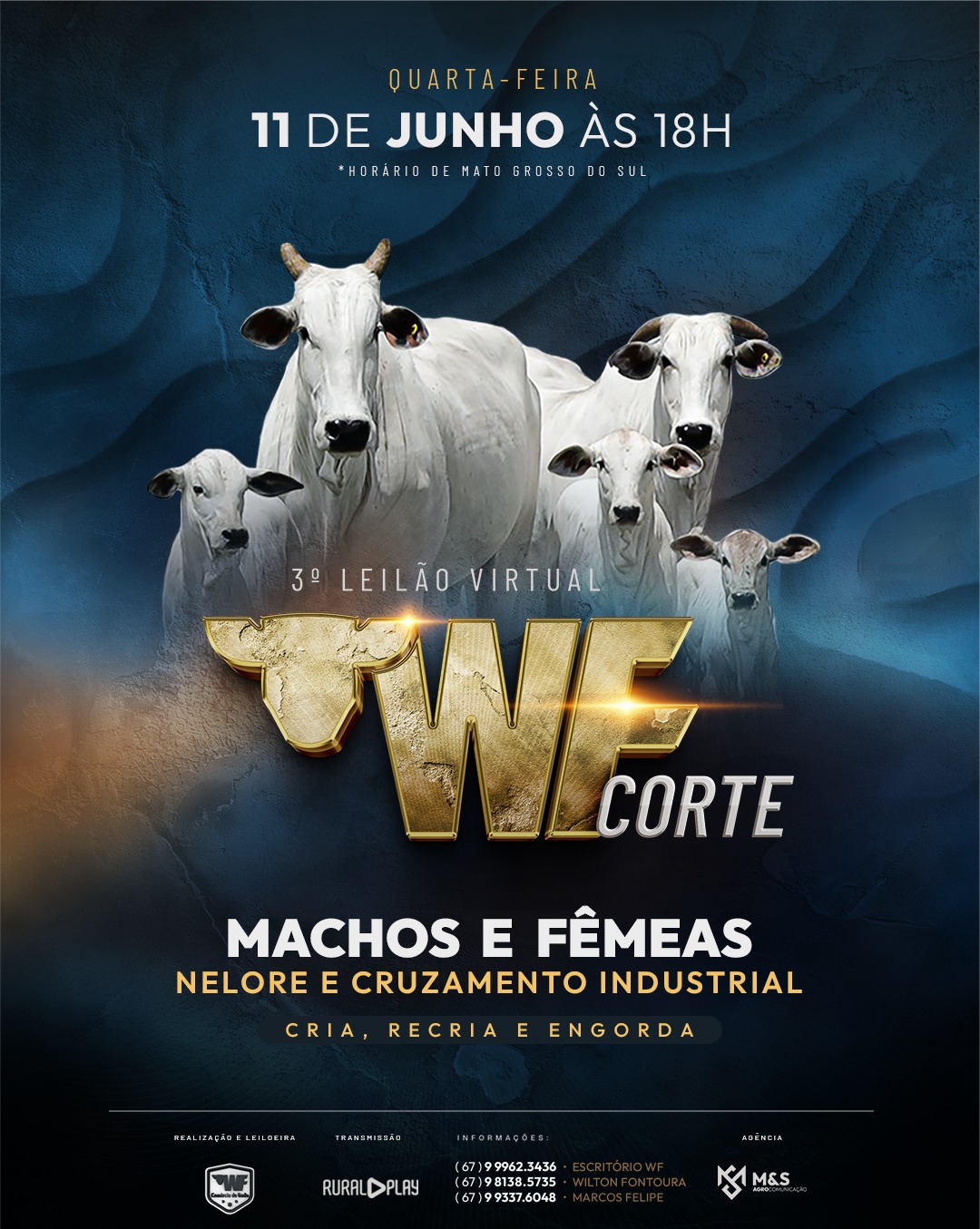 3º LEILAO VIRTUAL WF CORTE