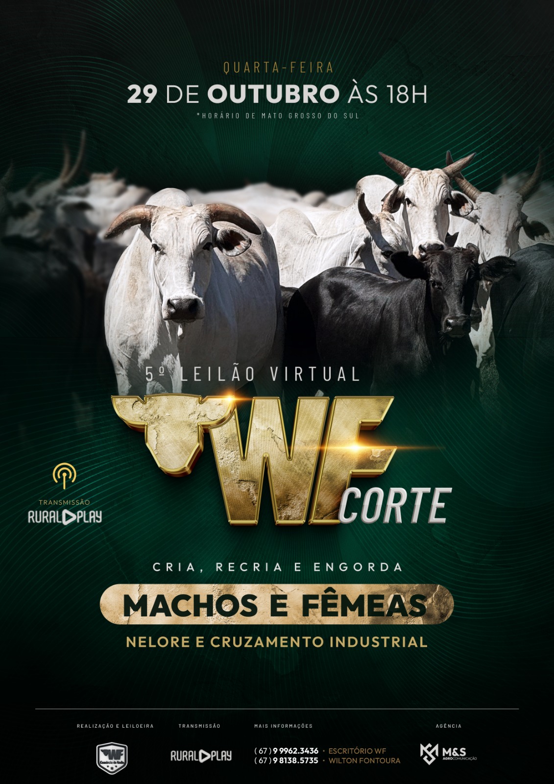 5º LEILAO VIRTUAL WF CORTE