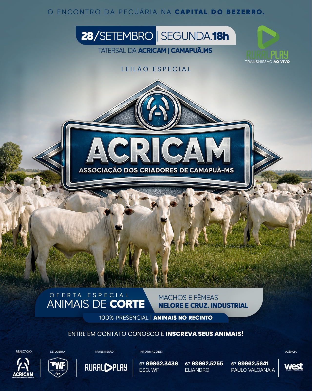 LEILÃO ESPECIAL ACRICAM