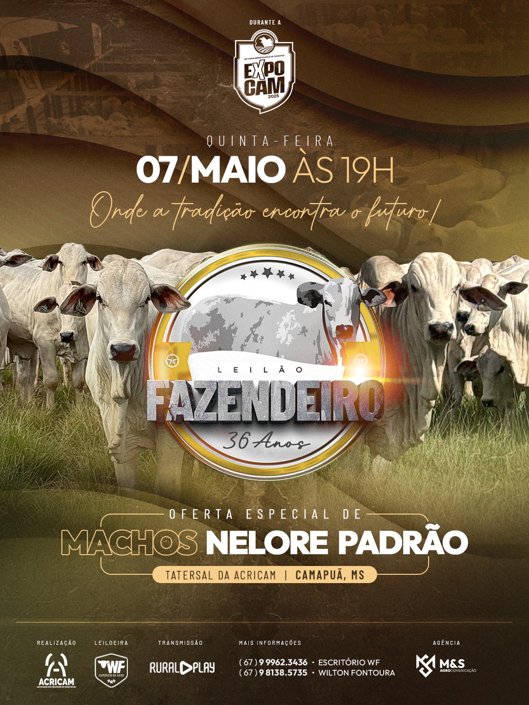 LEILÃO FAZENDEIRO -  36 ANOS