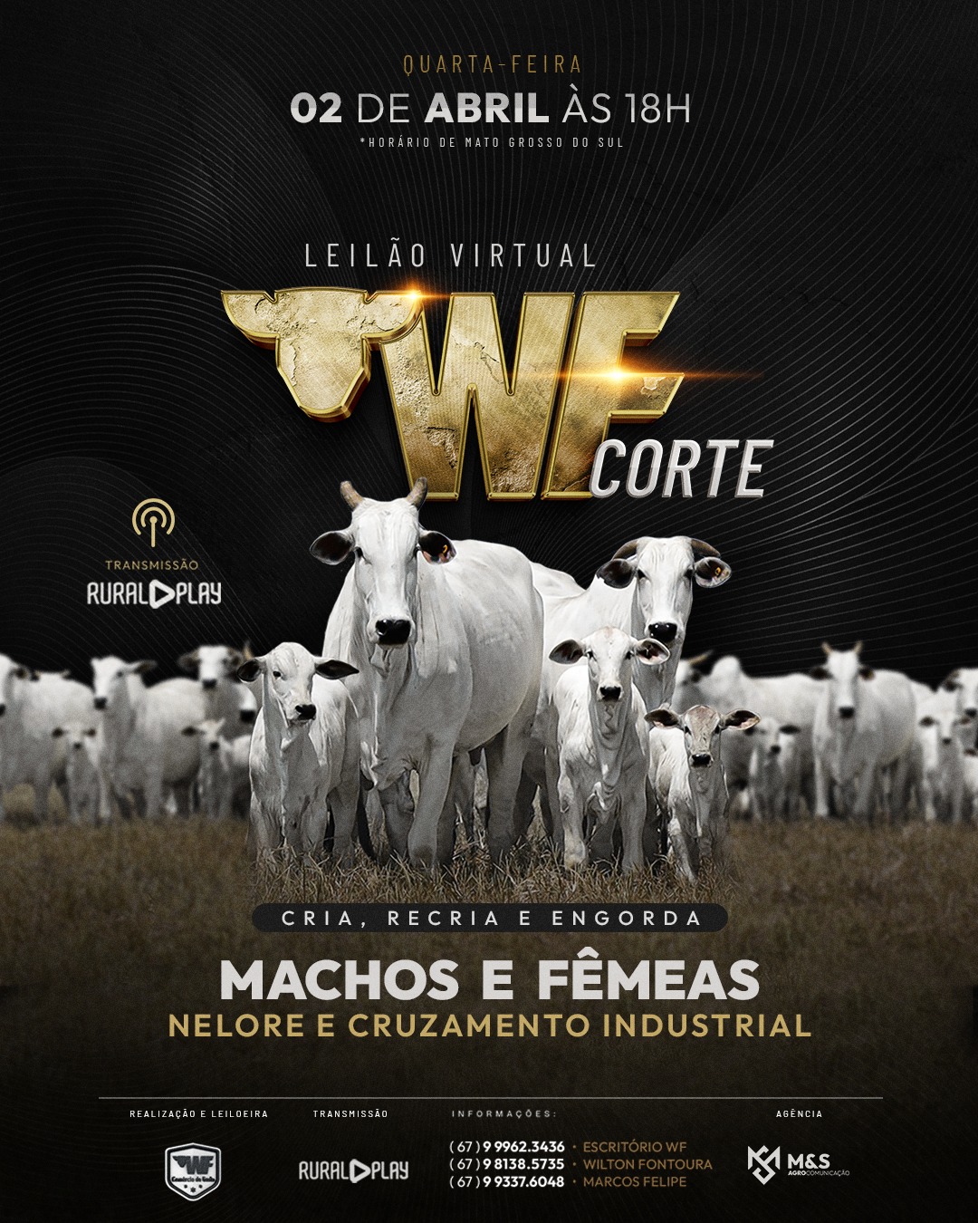 LEILAO VIRTUAL WF COMERCIO DE GADO