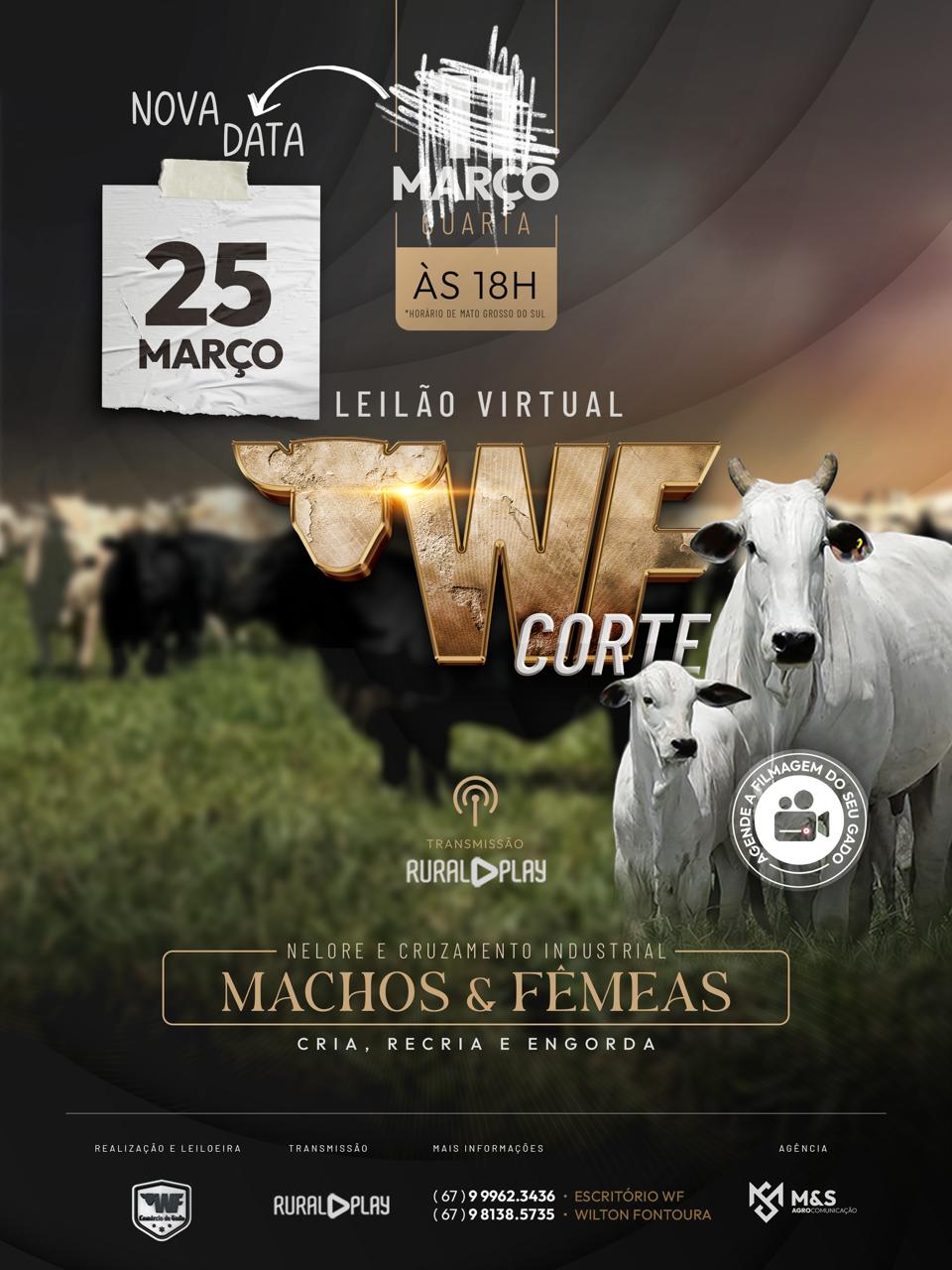 LEILÃO VIRTUAL WF CORTE