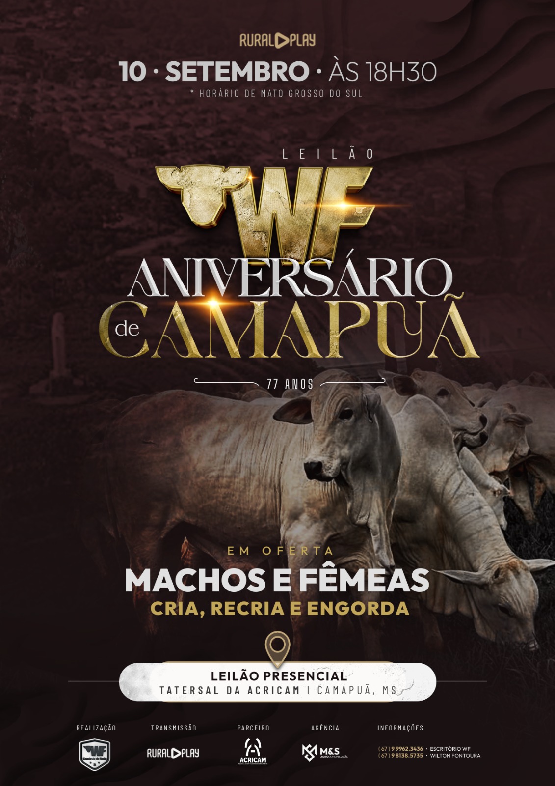 LEILÃO WF ANIVERSÁRIO DE CAMAPUÃ