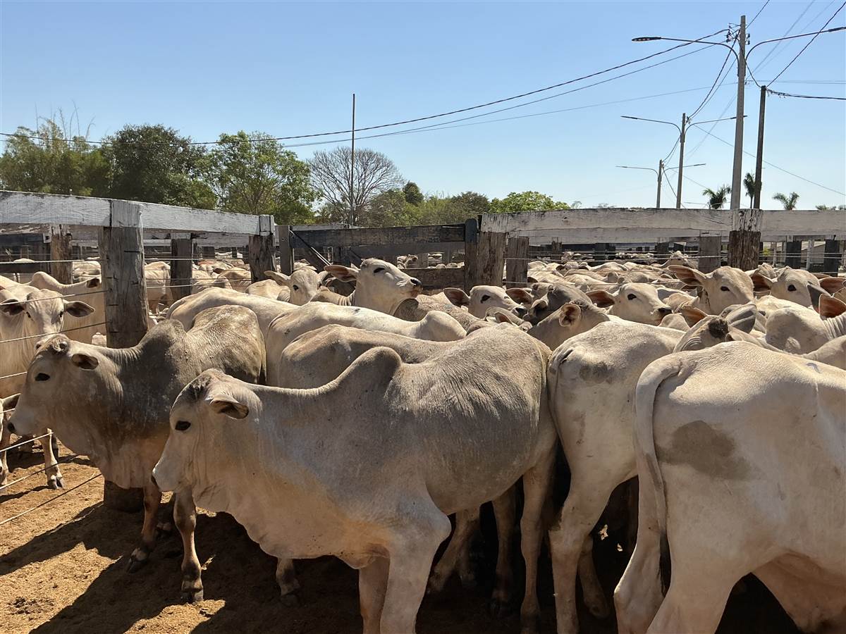 Clique para ver - Foto 1