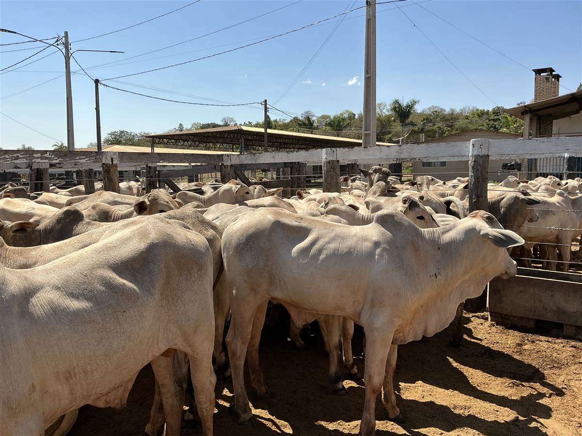 Clique para ver - Foto 1