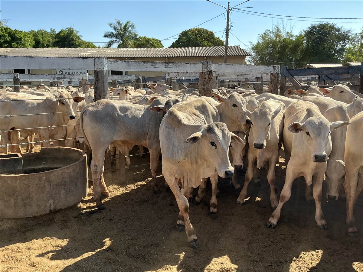 Clique para ver - Foto 2