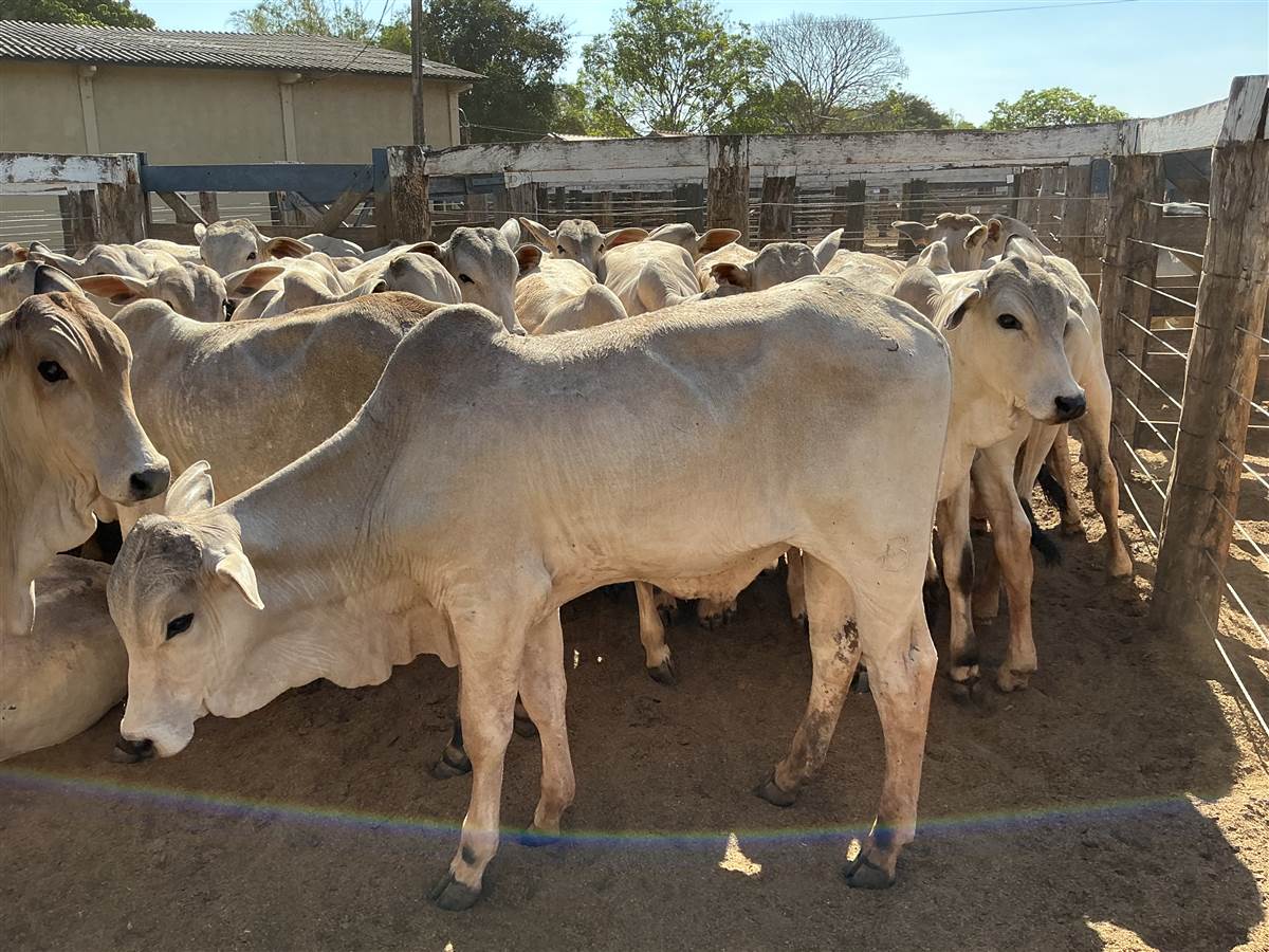 Clique para ver - Foto 2