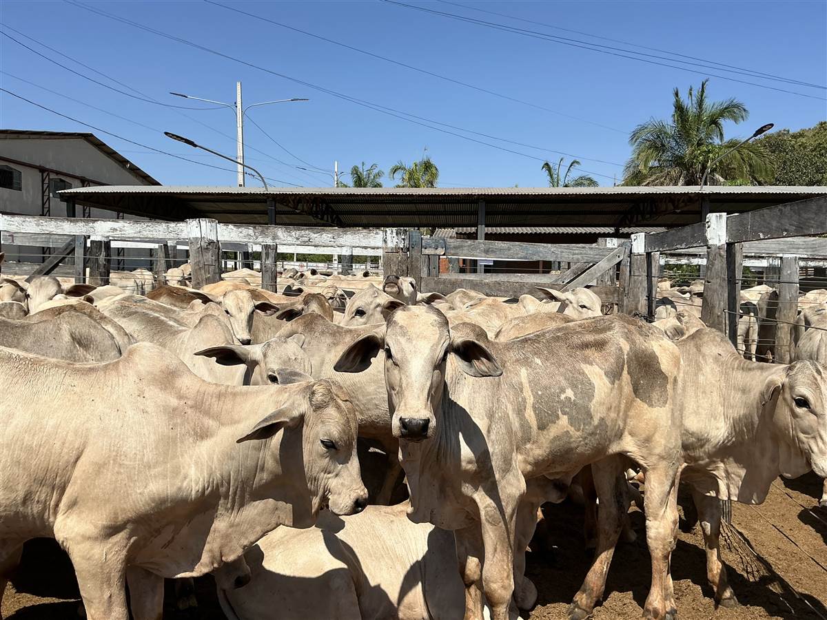 Clique para ver - Foto 1