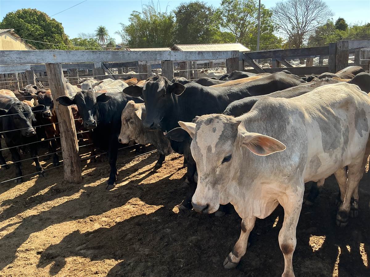 Clique para ver - Foto 1