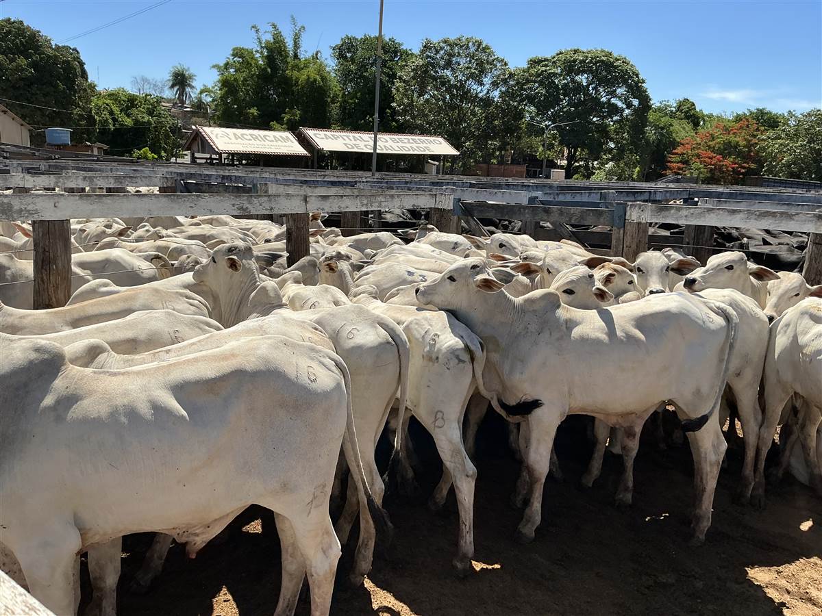 Clique para ver - Foto 2