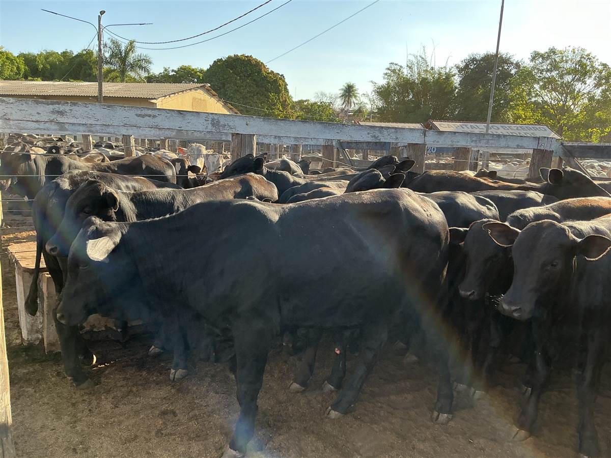 Clique para ver - Foto 1