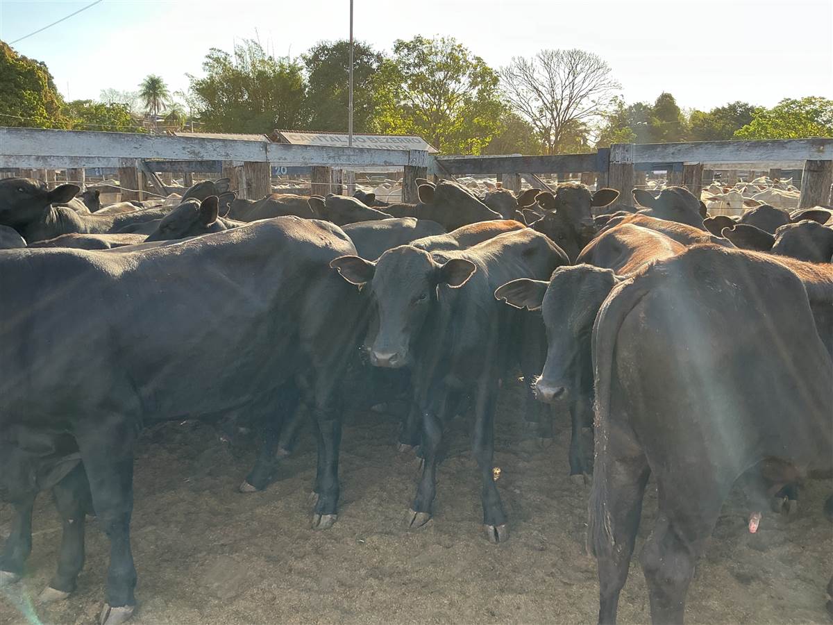 Clique para ver - Foto 2