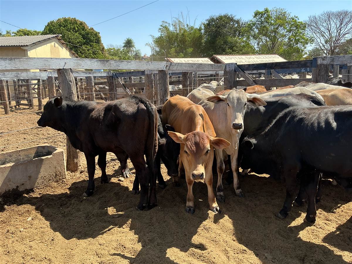 Clique para ver - Foto 1