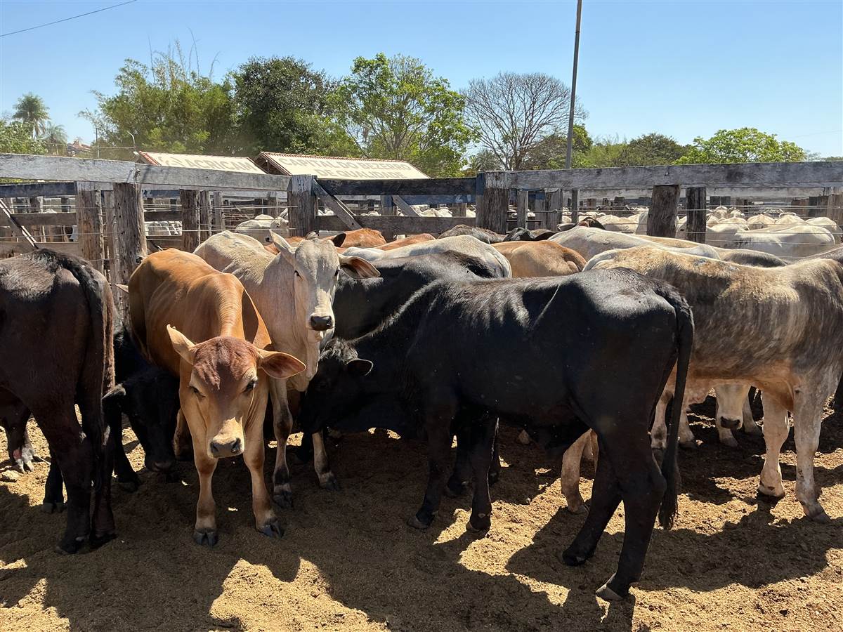 Clique para ver - Foto 2