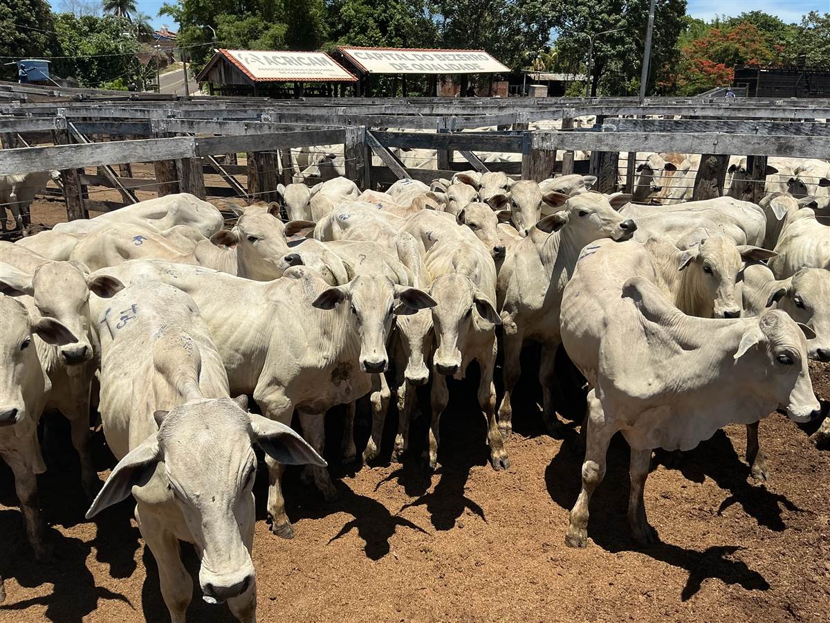 Clique para ver - Foto 1