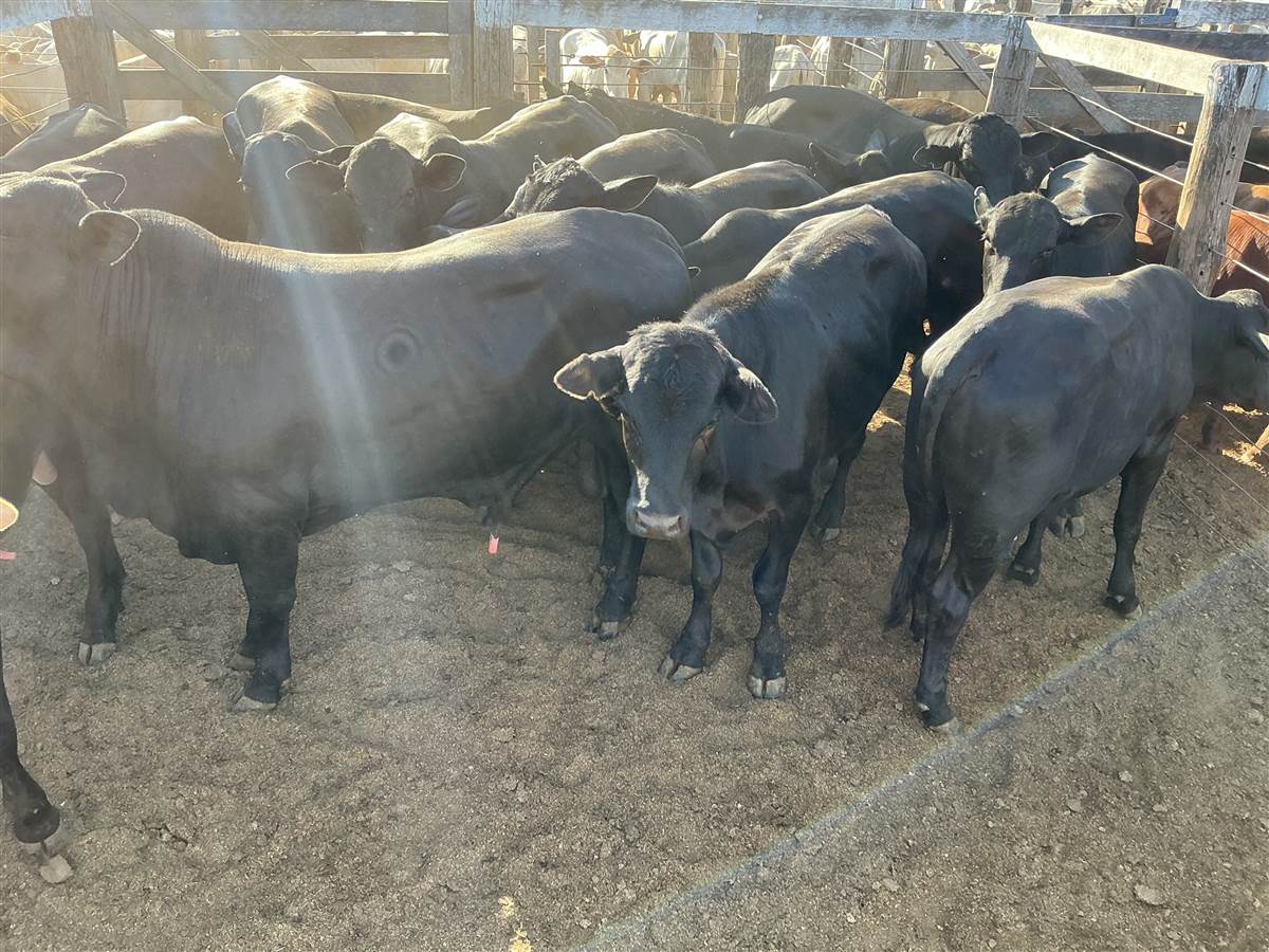 Clique para ver - Foto 1