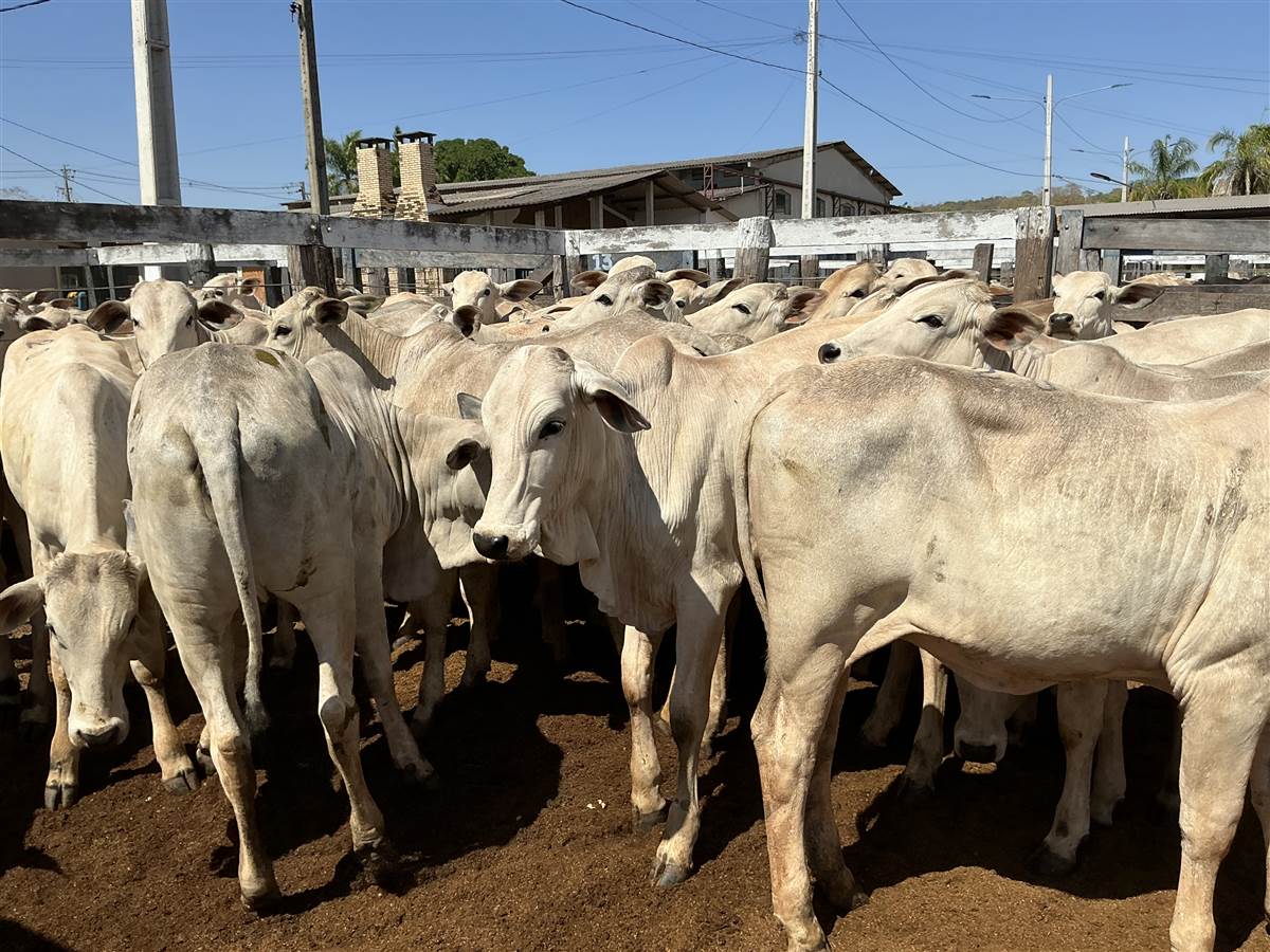 Clique para ver - Foto 2