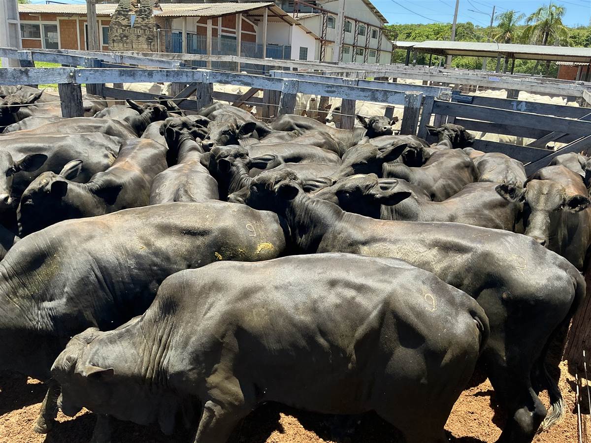 Clique para ver - Foto 0