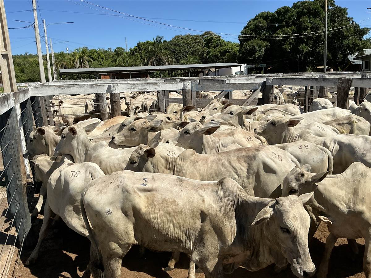 Clique para ver - Foto 0