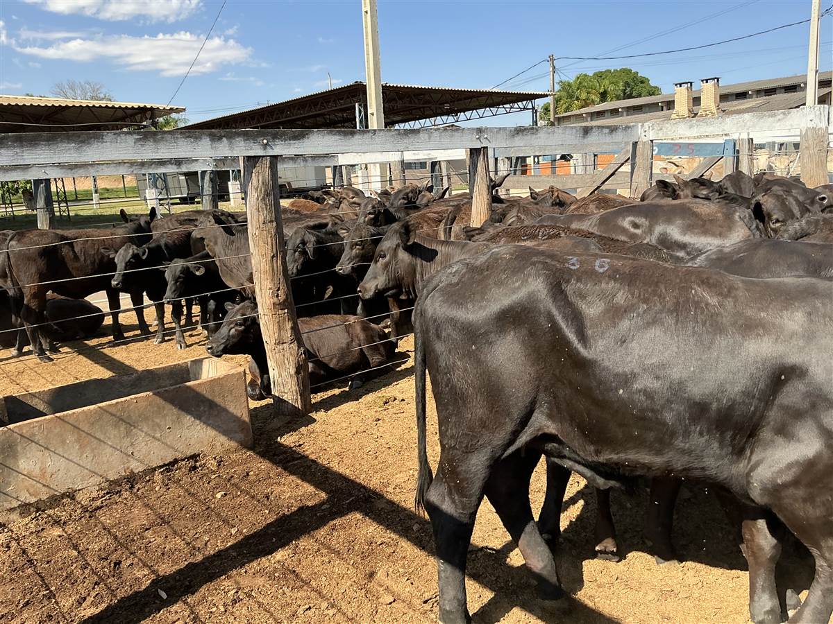 Clique para ver - Foto 1