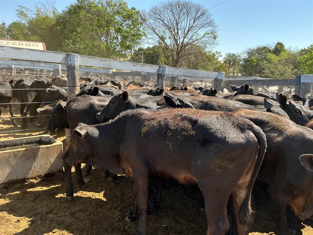 Clique para ver - Foto 2