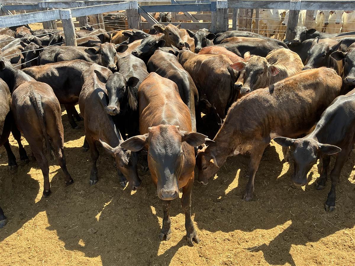 Clique para ver - Foto 0