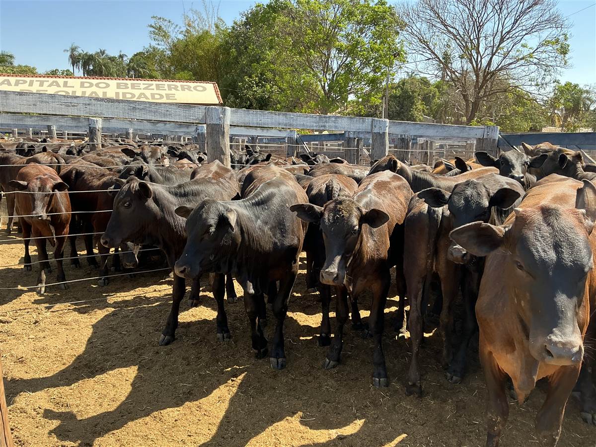 Clique para ver - Foto 2