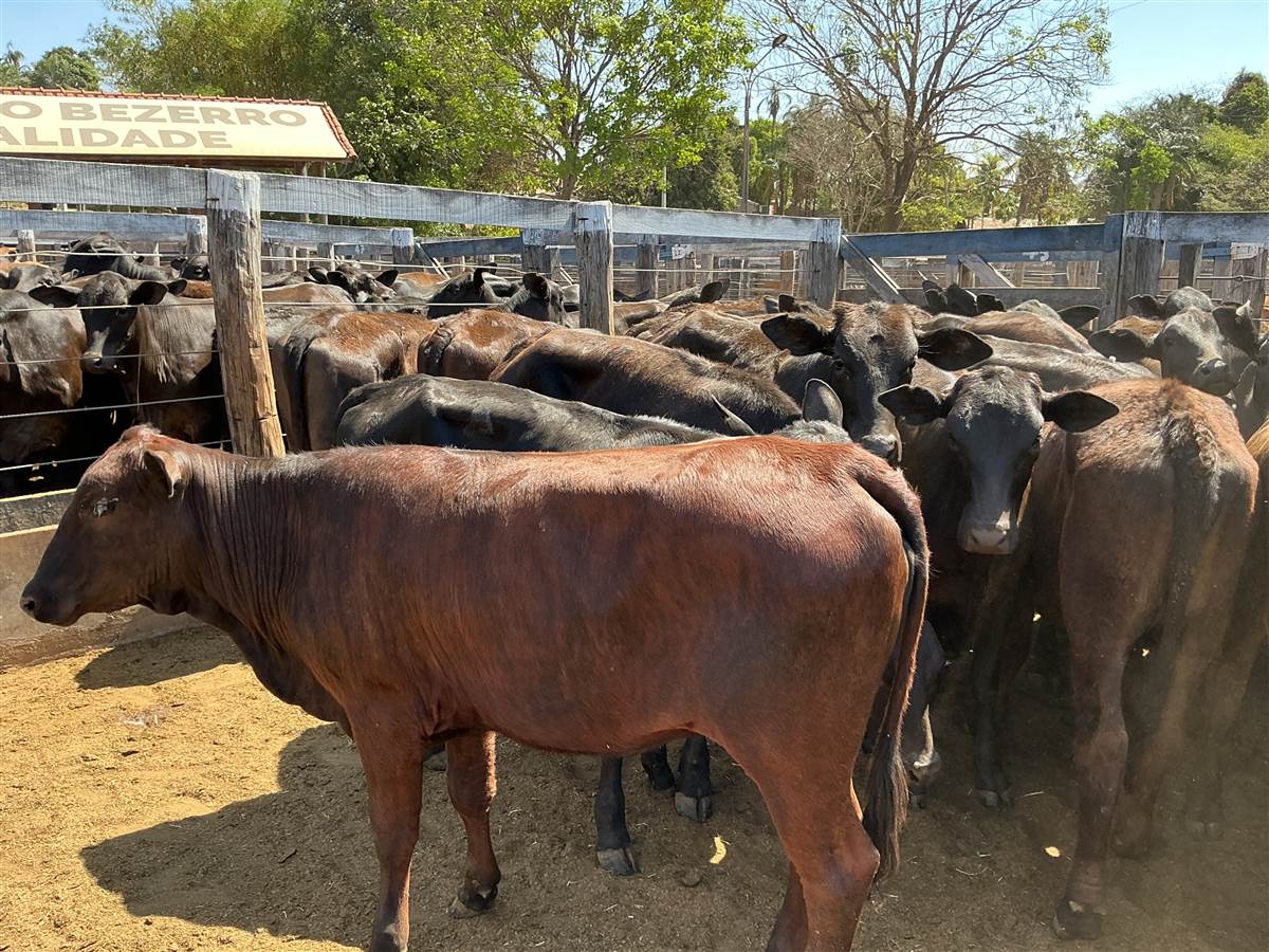 Clique para ver - Foto 2