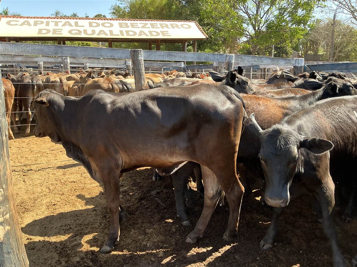 Clique para ver - Foto 2