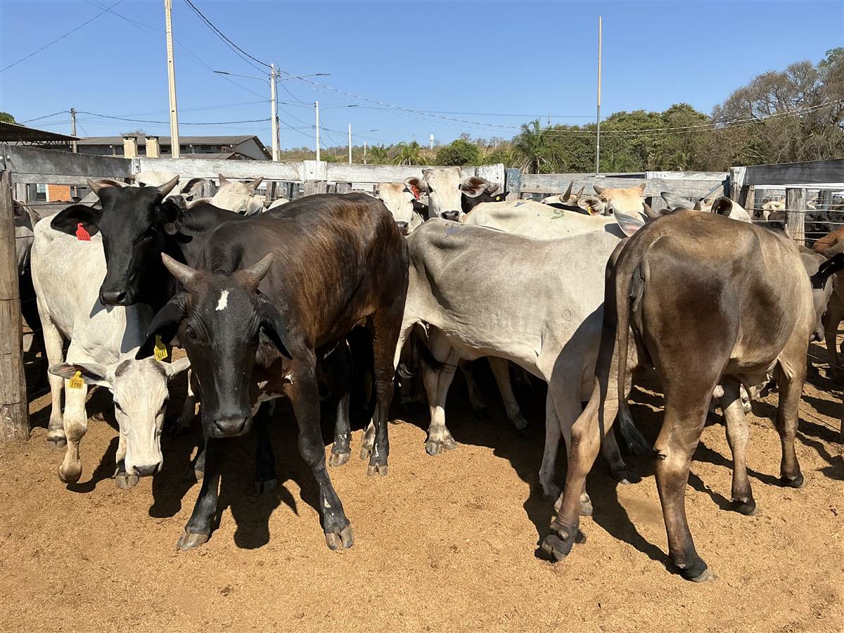 Clique para ver - Foto 2