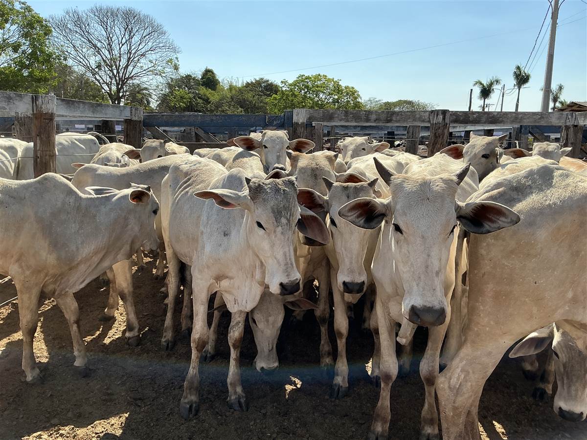 Clique para ver - Foto 2