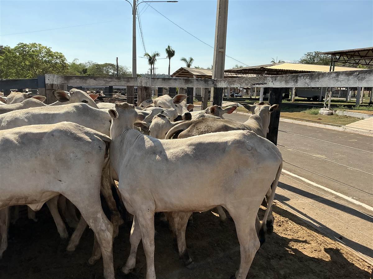 Clique para ver - Foto 1