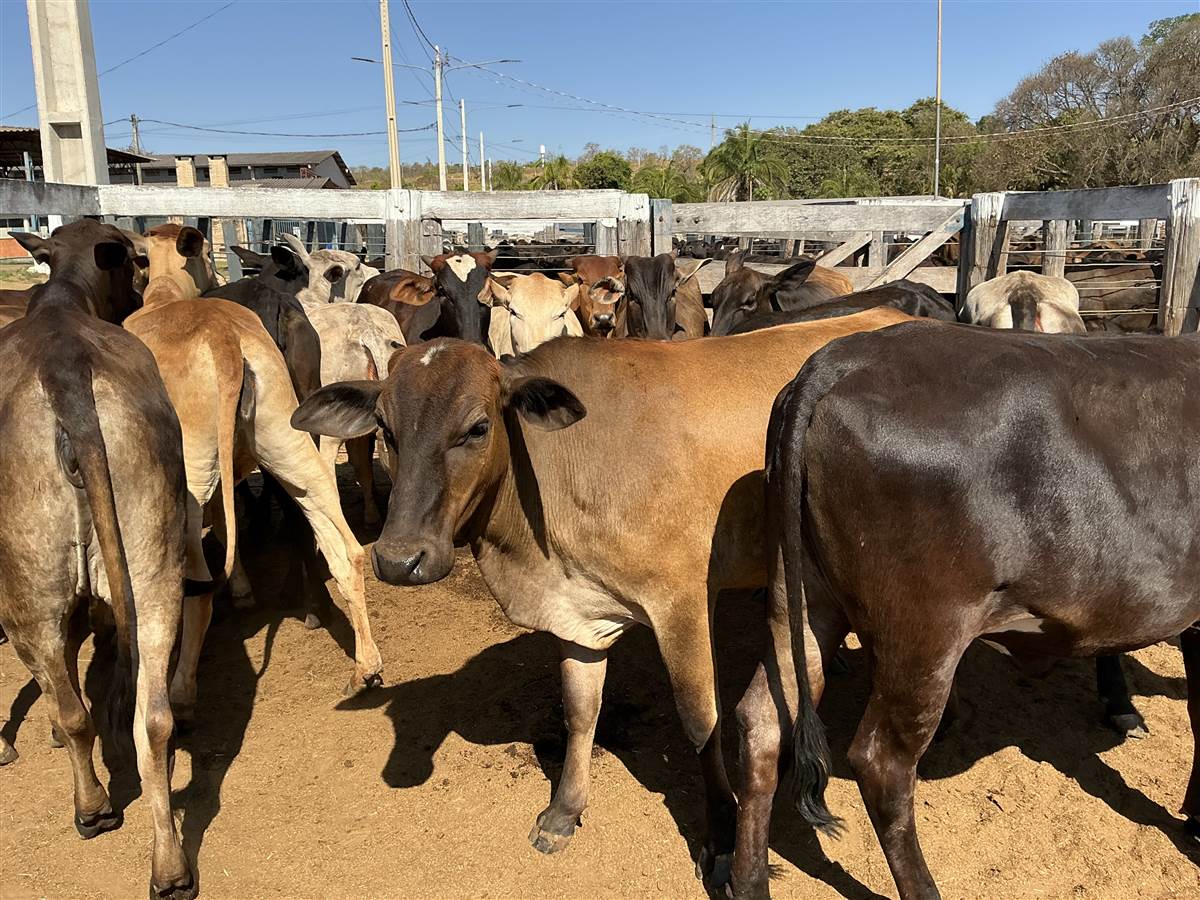 Clique para ver - Foto 2