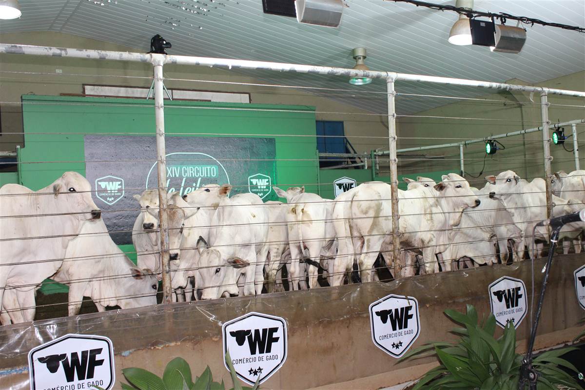 Foto do evento
