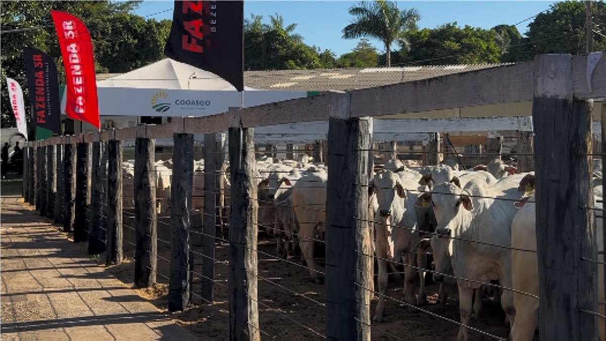 Foto do evento