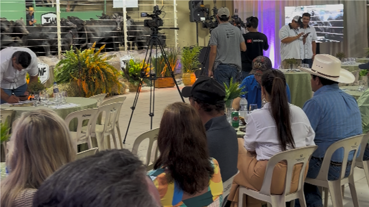 Foto do evento