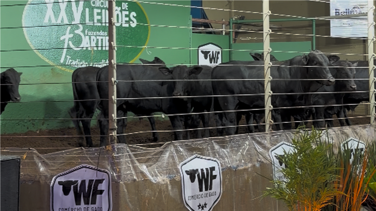 Foto do evento