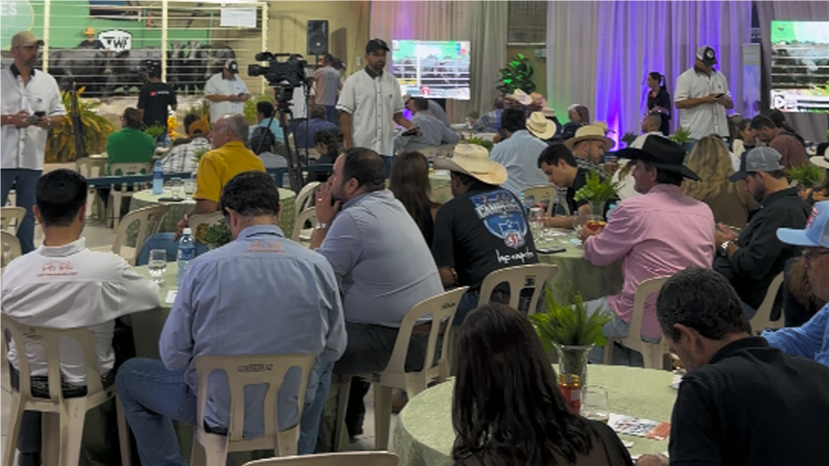 Foto do evento